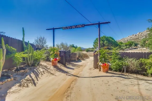 a view of a potted plants in a backyard