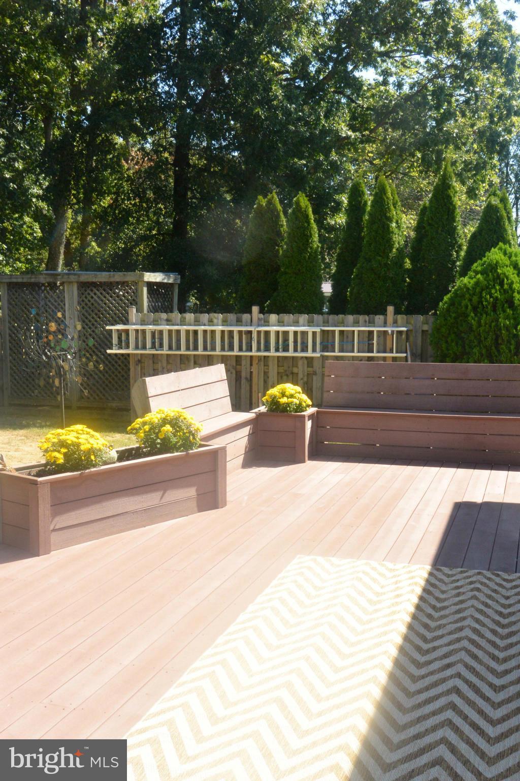 6923 Quander Road Alexandria, VA 22307 - Photo 22 of 24 a view of a swimming pool with a patio