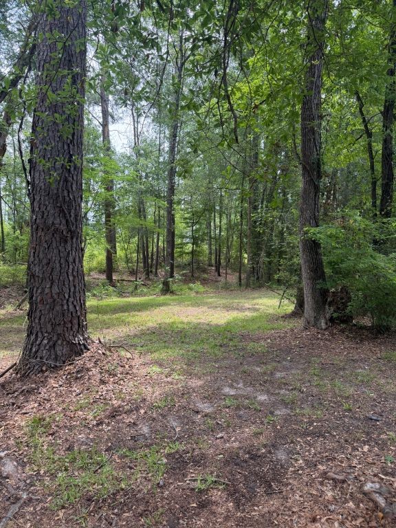 371 Fm 1872 Corrigan, TX 75939 - Photo 46 of 50