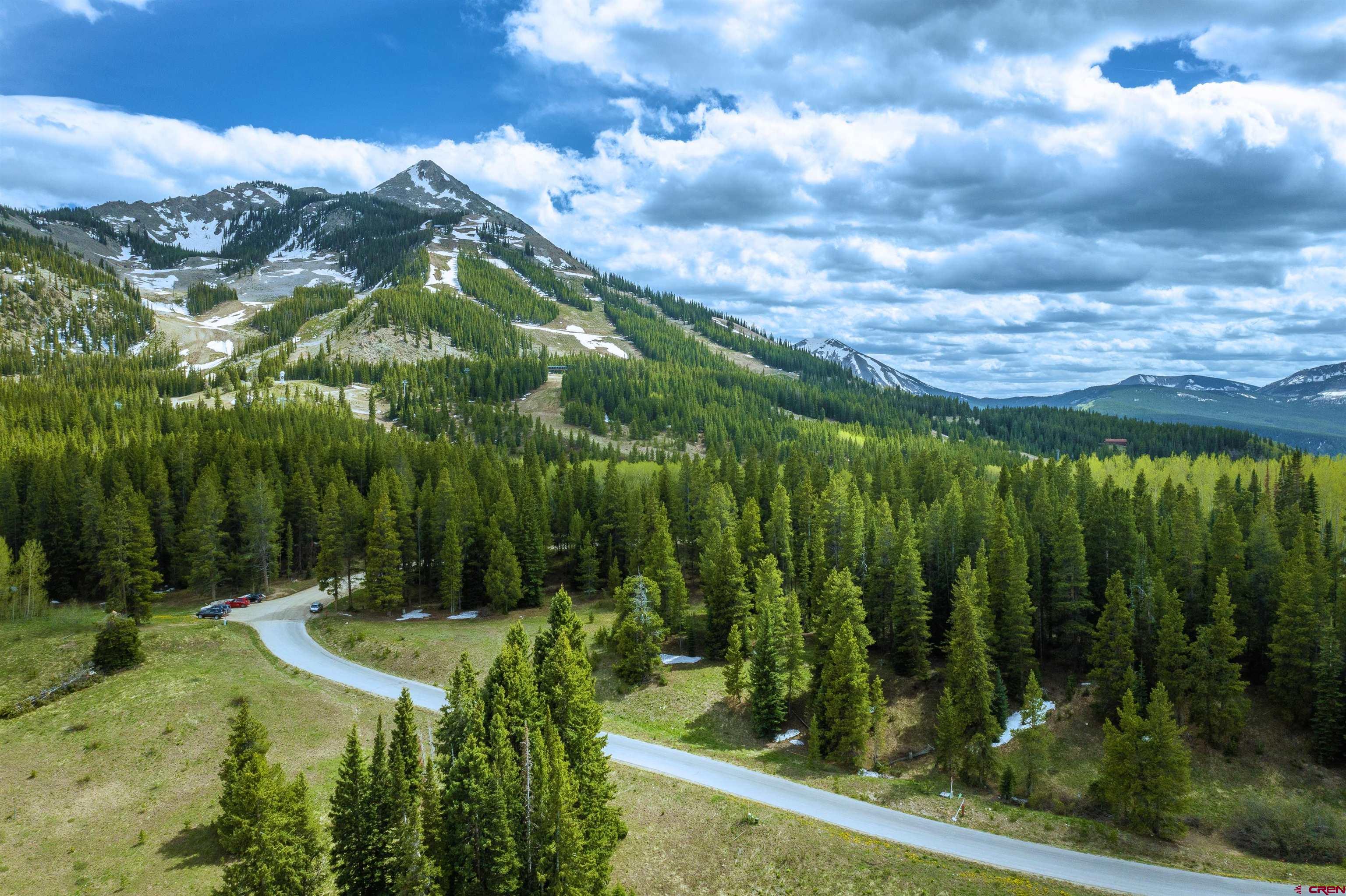 E36 Prospect Drive Crested Butte, CO 81225 - Photo 22 of 22 a view of a yard with plants and large trees