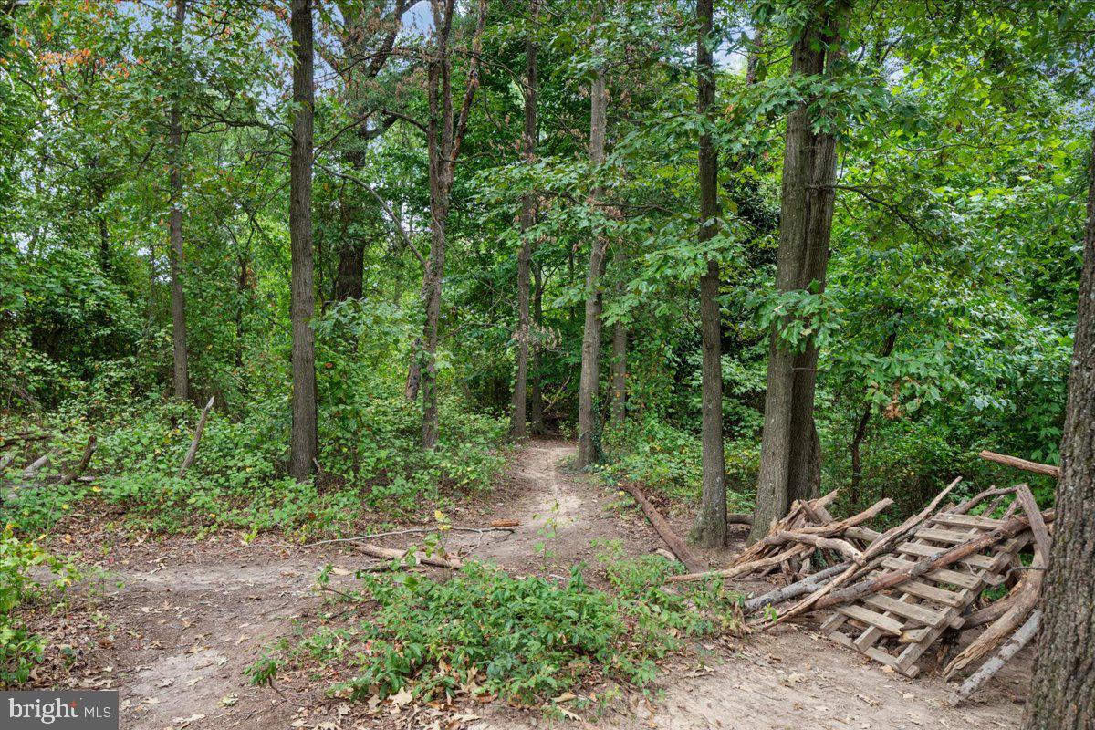 5902 Lockwood Road Cheverly, MD 20785 - Photo 44 of 47 Park amenities