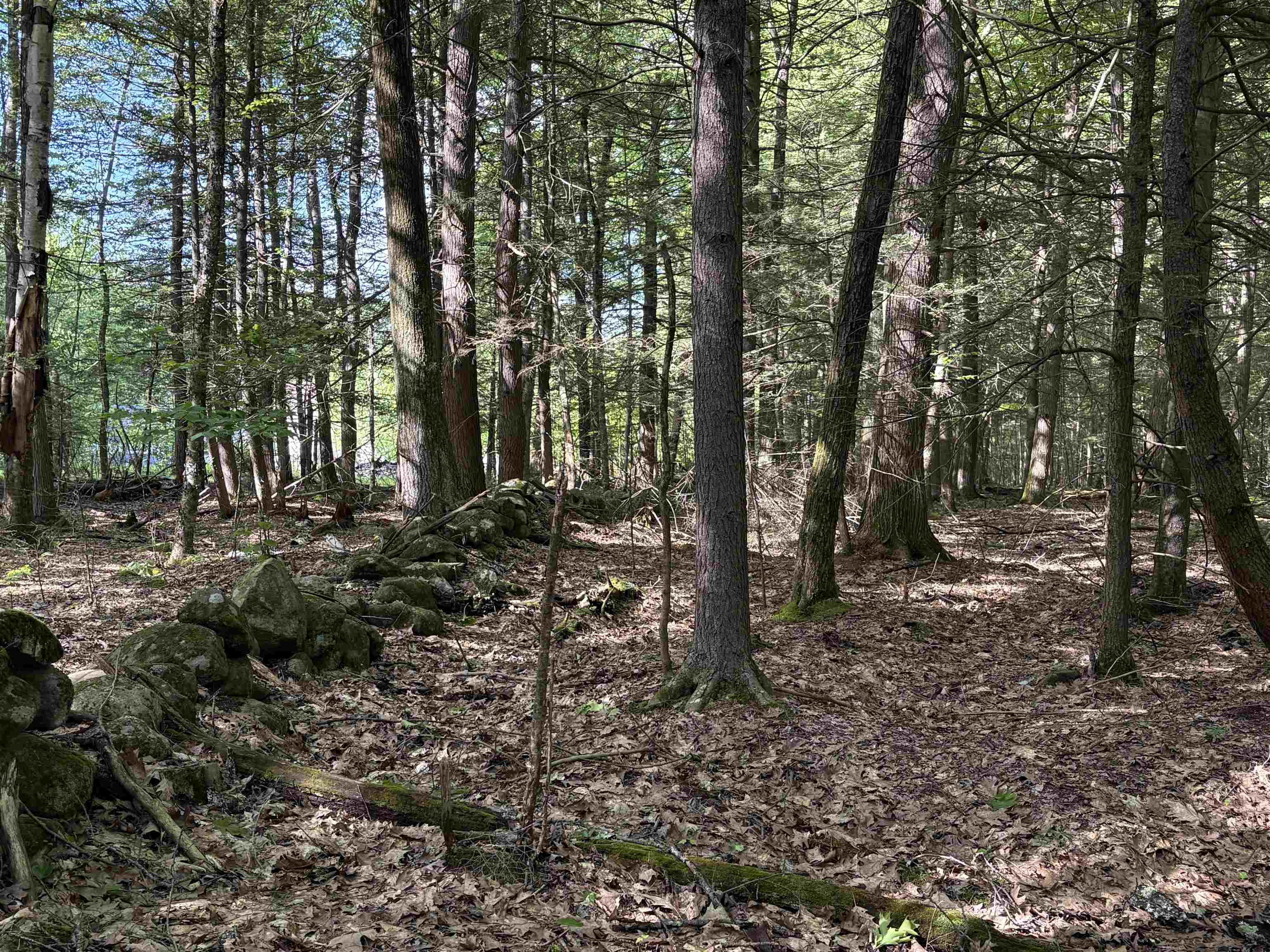 Lot 85 Currier Road Candia, NH 03034 - Photo 10 of 14