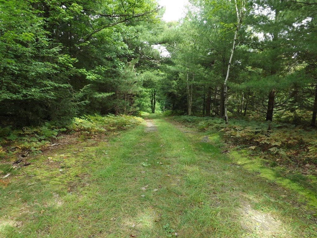 939 Ridge Lane Mehoopany, PA 18629 - Photo 17 of 25 Gallery Image 17