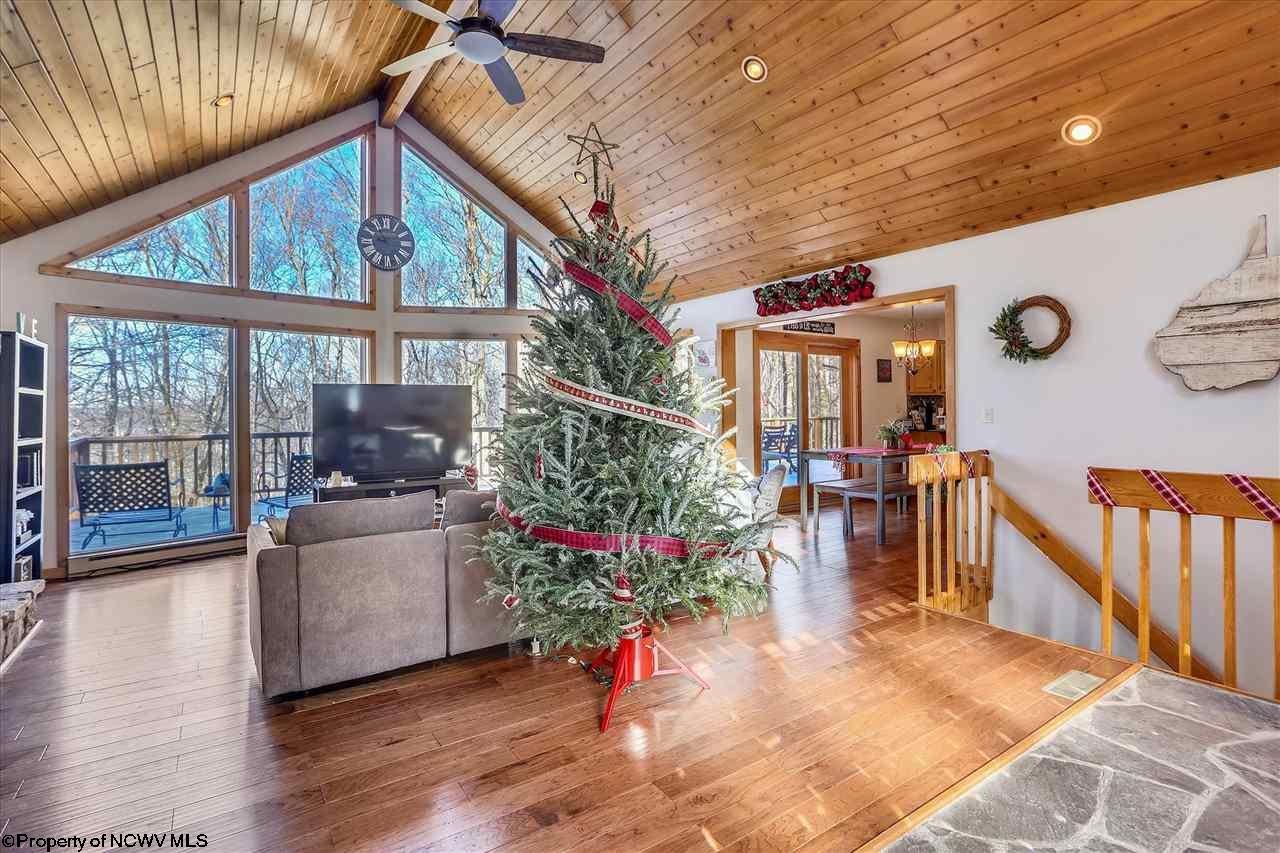 849 Ridge Road Davis, WV 26260 - Photo 4 of 29 Gallery Image 4