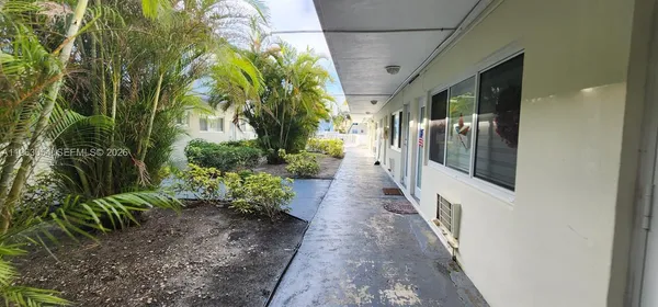 a view of a pathway with plants