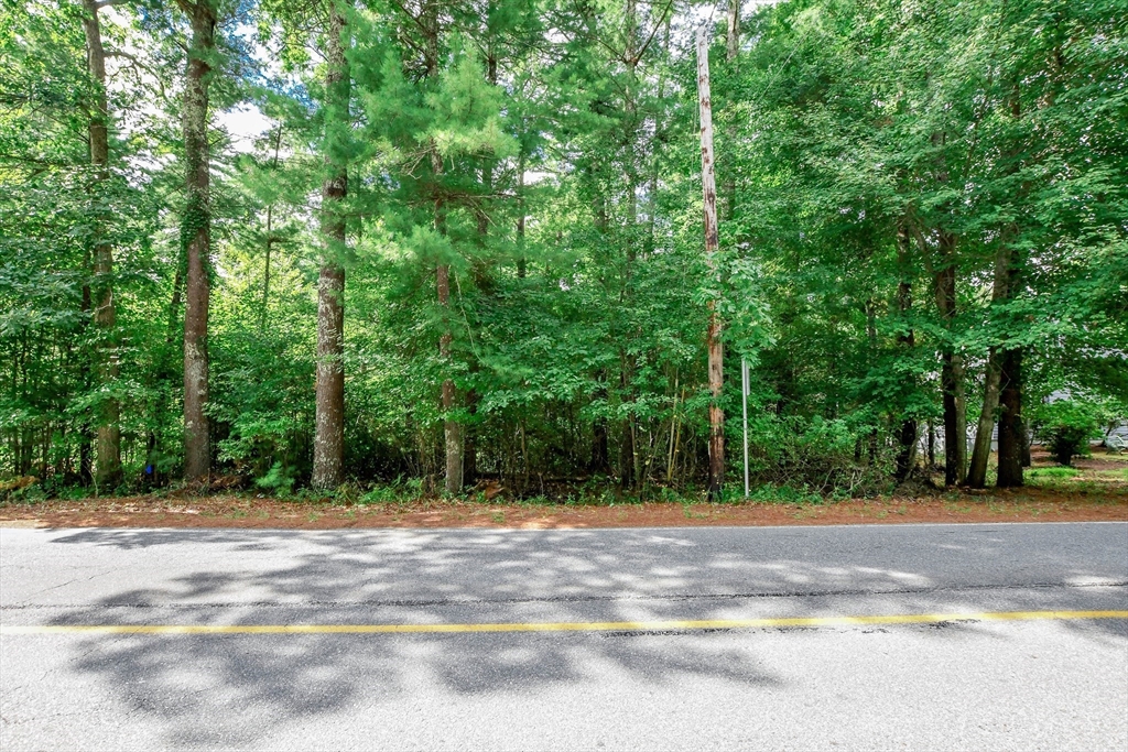 a view of swimming pool with a trees