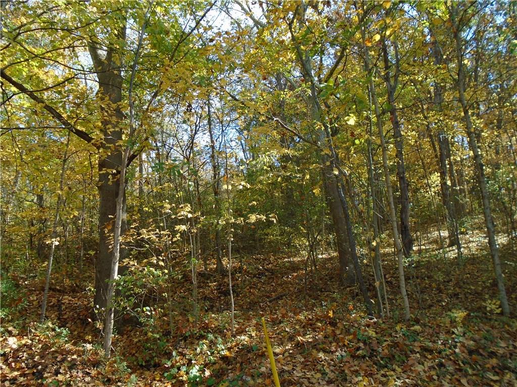 0 Hill Road Fredericktown, PA 15333 - Photo 1 of 8 View from standing on the road