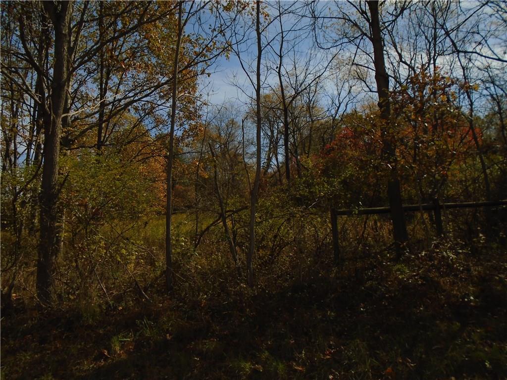 0 Hill Road Fredericktown, PA 15333 - Photo 5 of 8 View from Road