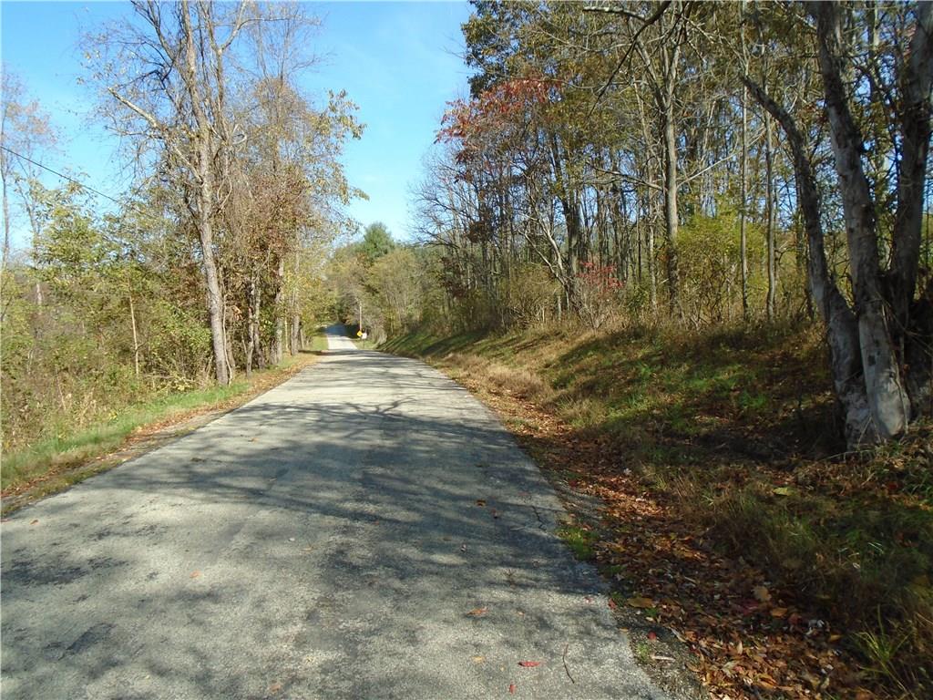 0 Hill Road Fredericktown, PA 15333 - Photo 6 of 8 Road property on right