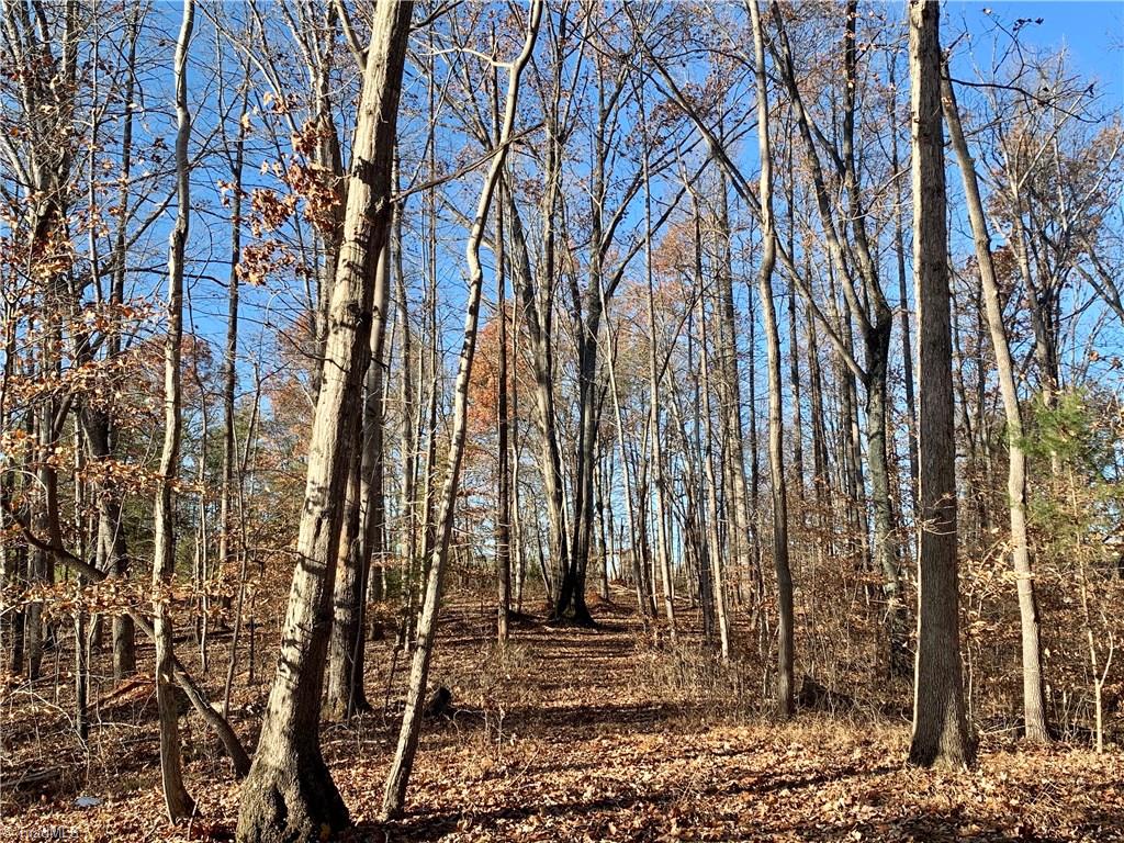 1158 Forsyth Line Road Rural Hall, NC 27045 - Photo 3 of 15