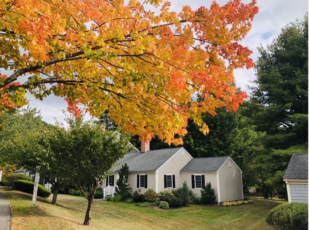38 Jericho Road, Unit 38 Weston, MA 02493 - Photo 15 of 16