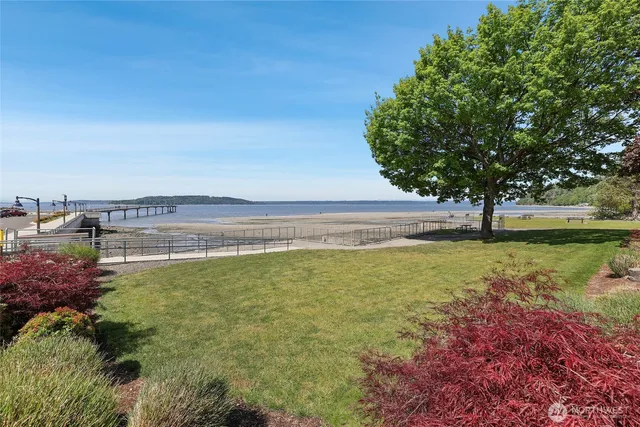 a view of a water pond with green space