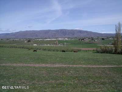 301 Kail Road Tieton, WA 98947 - Photo 5 of 34 Pasture