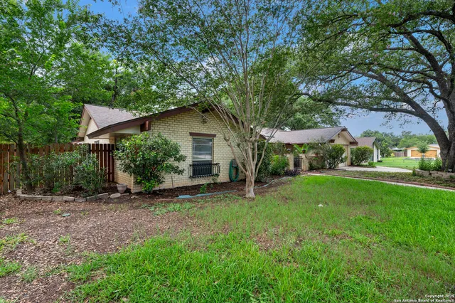 a backyard of a house with plants and large tree