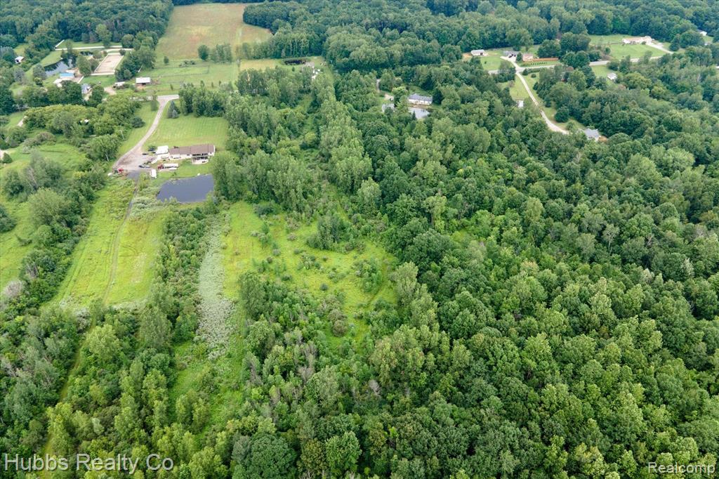0 Birch Run Road Millington, MI 48746 - Photo 9 of 14