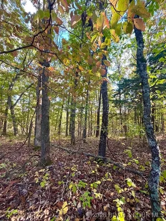 $8,977 | Lot#5 Lakewood Lane, Barnett, MO 65011