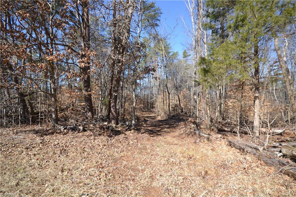 5270 Bunch Road Summerfield, NC 27358 - Photo 5 of 9 Road on the right side of property that starts in the first field.