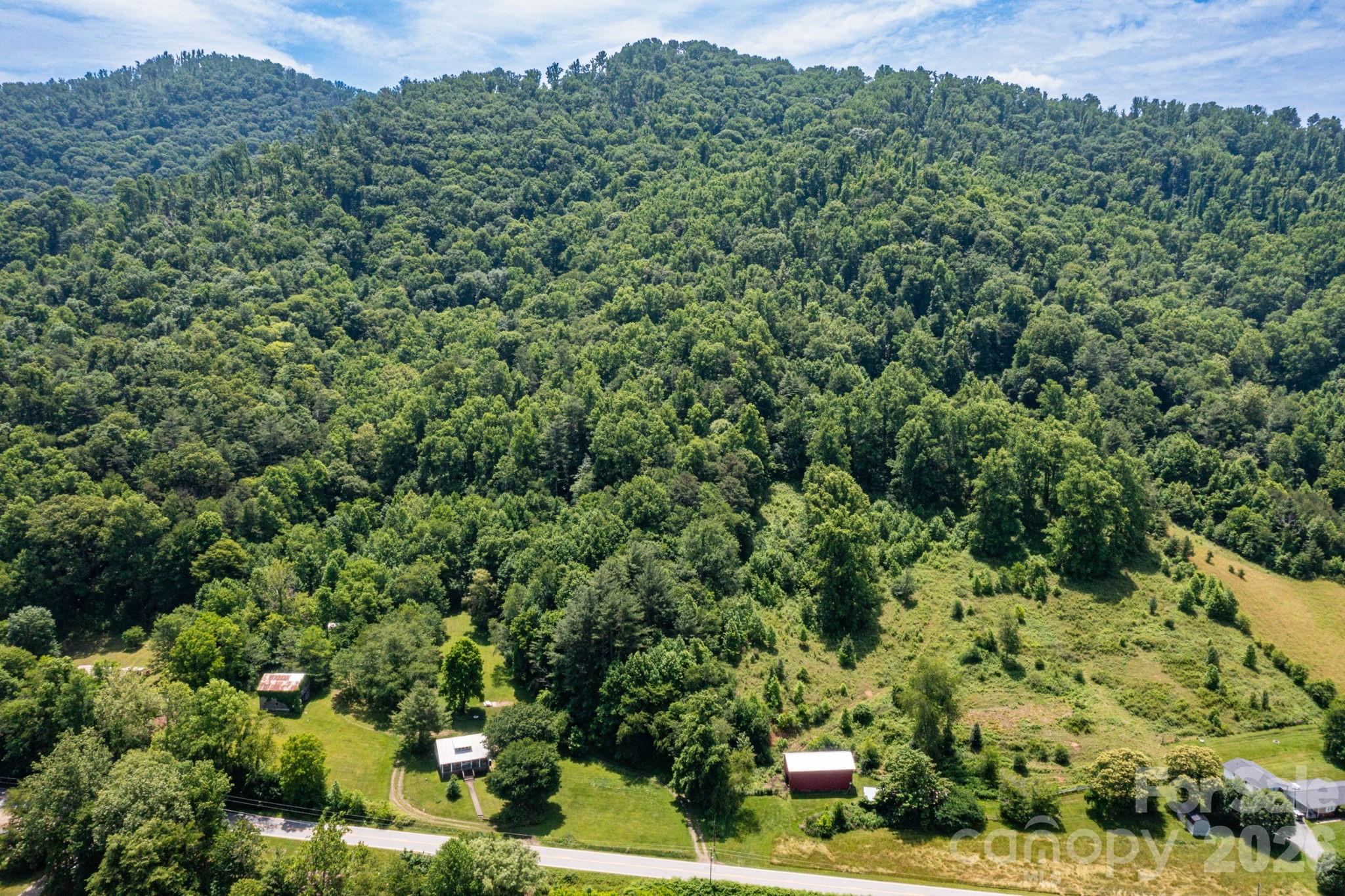 329 North Fork Road Barnardsville, NC 28709 - Photo 31 of 33