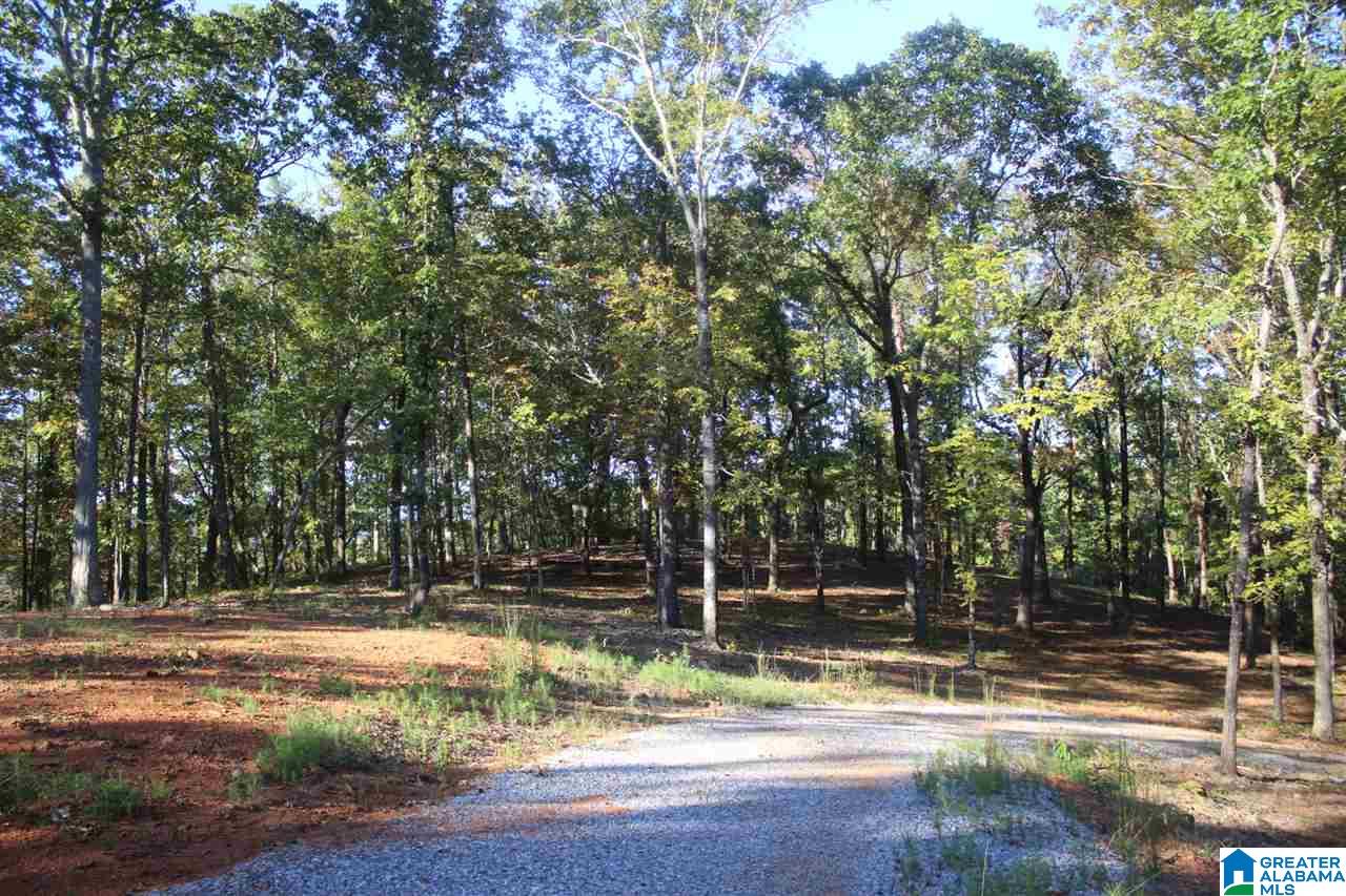 644 Washboard Road, Unit LOT 1 Columbiana, AL 35051 - Photo 1 of 9
