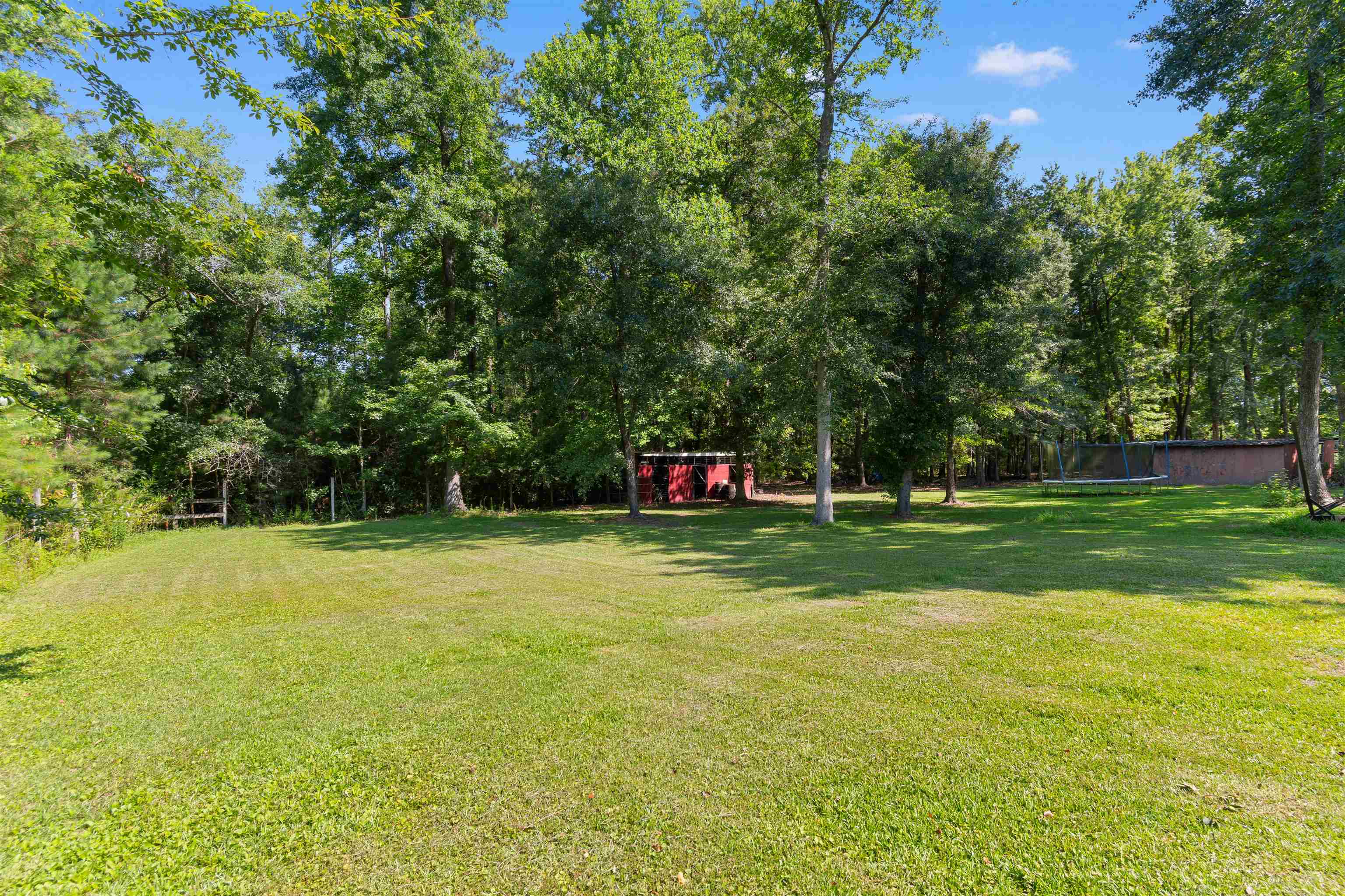3427 Highway 905 Conway, SC 29526 - Photo 34 of 47