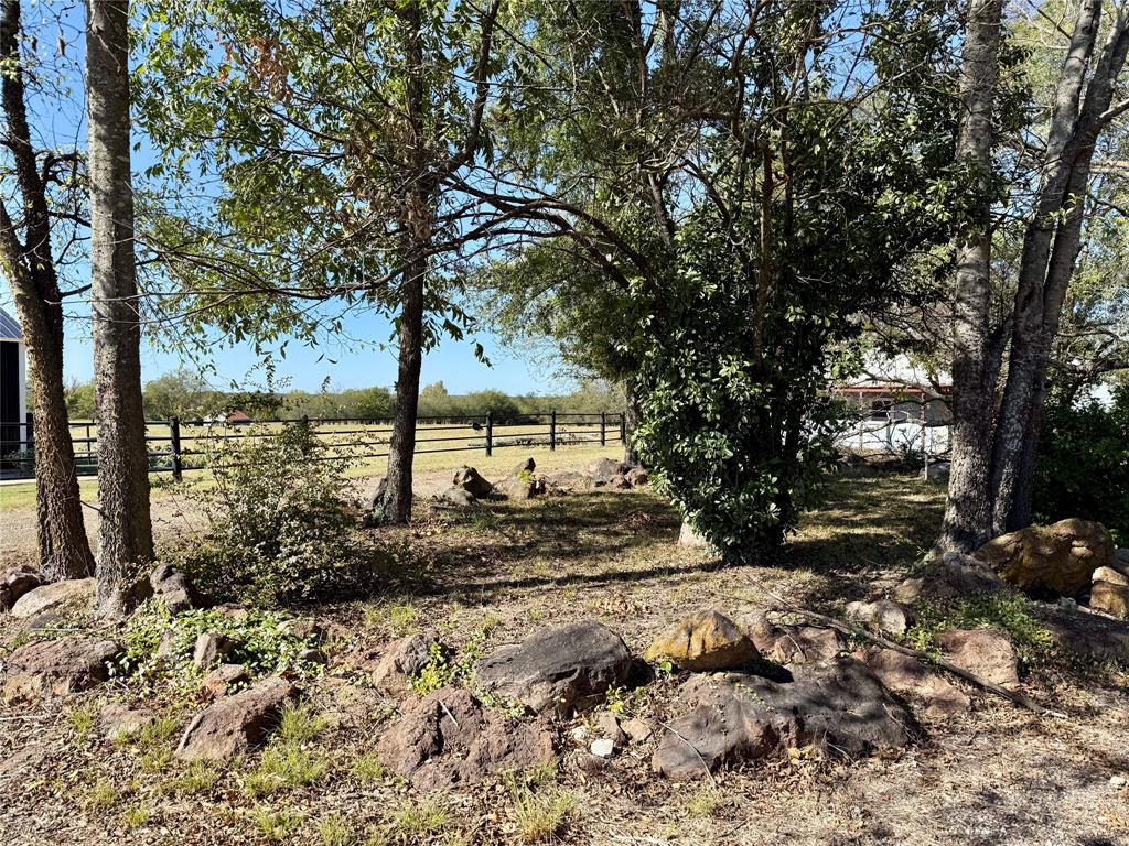 1813 Main Street Sulphur Springs, TX 75482 - Photo 5 of 14 a view of a yard with a tree