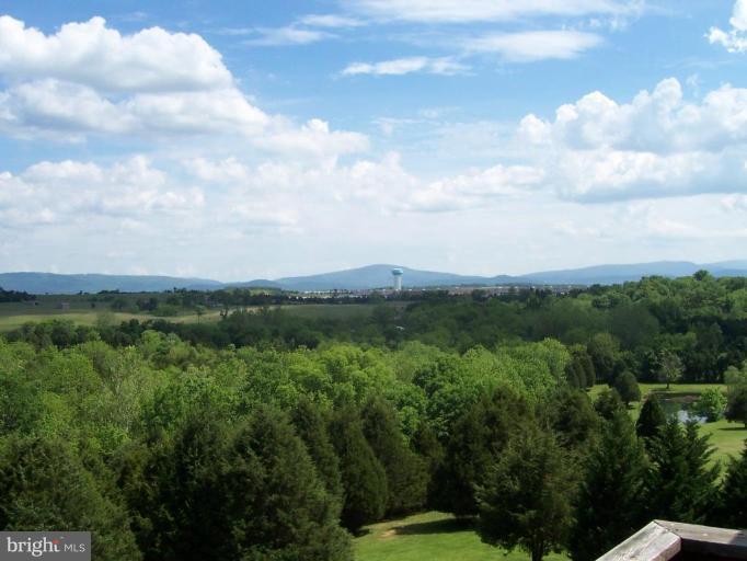 2901 Double Church Road Stephens City, VA 22655 - Photo 19 of 24 Mountain View 1