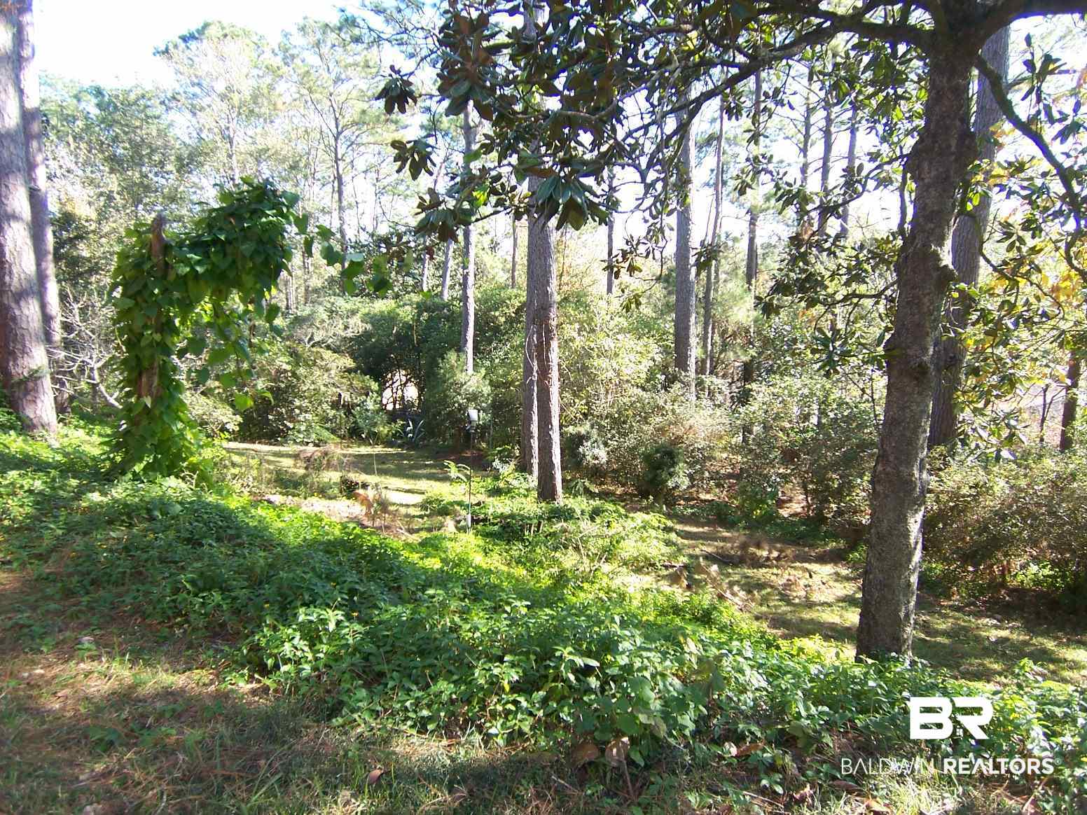 10 Bull Run Road Daphne, AL 36527 - Photo 5 of 30
