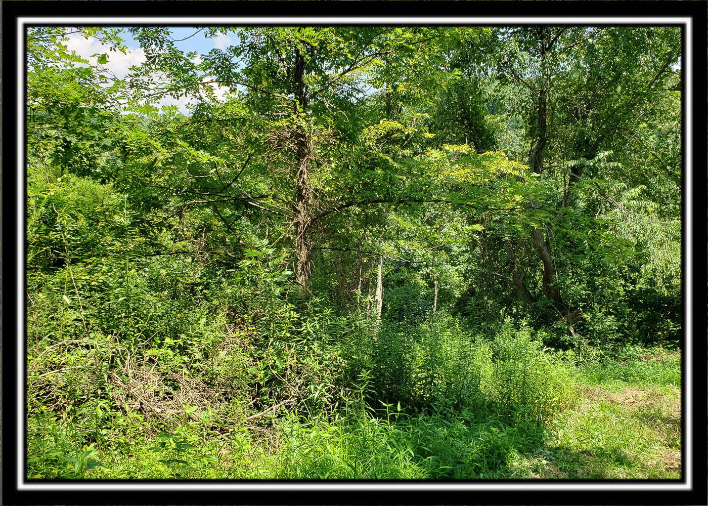 0 Bethel Road, Unit TRACT 4 Patriot, OH 45658 - Photo 21 of 35 CT-21
