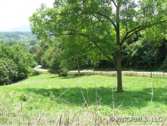 7 D Sheep Pasture Road Waynesville, NC 28785 - Photo 1 of 2 a view of a park with large trees