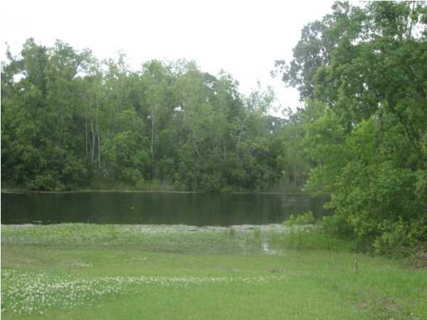 539 Smith-Reed Road Lafayette, LA 70507 - Photo 1 of 7 Primary Photo