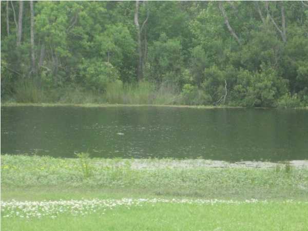 539 Smith-Reed Road Lafayette, LA 70507 - Photo 2 of 7 Additional Photo