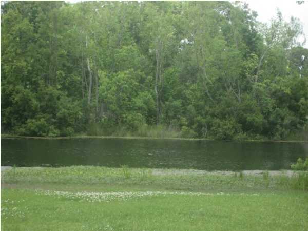 539 Smith-Reed Road Lafayette, LA 70507 - Photo 7 of 7 Additional Photo