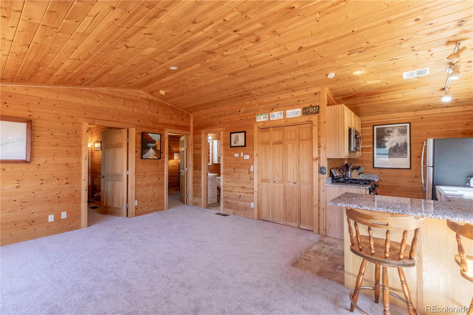 246 Hayes Street Bailey, CO 80421 - Photo 11 of 25