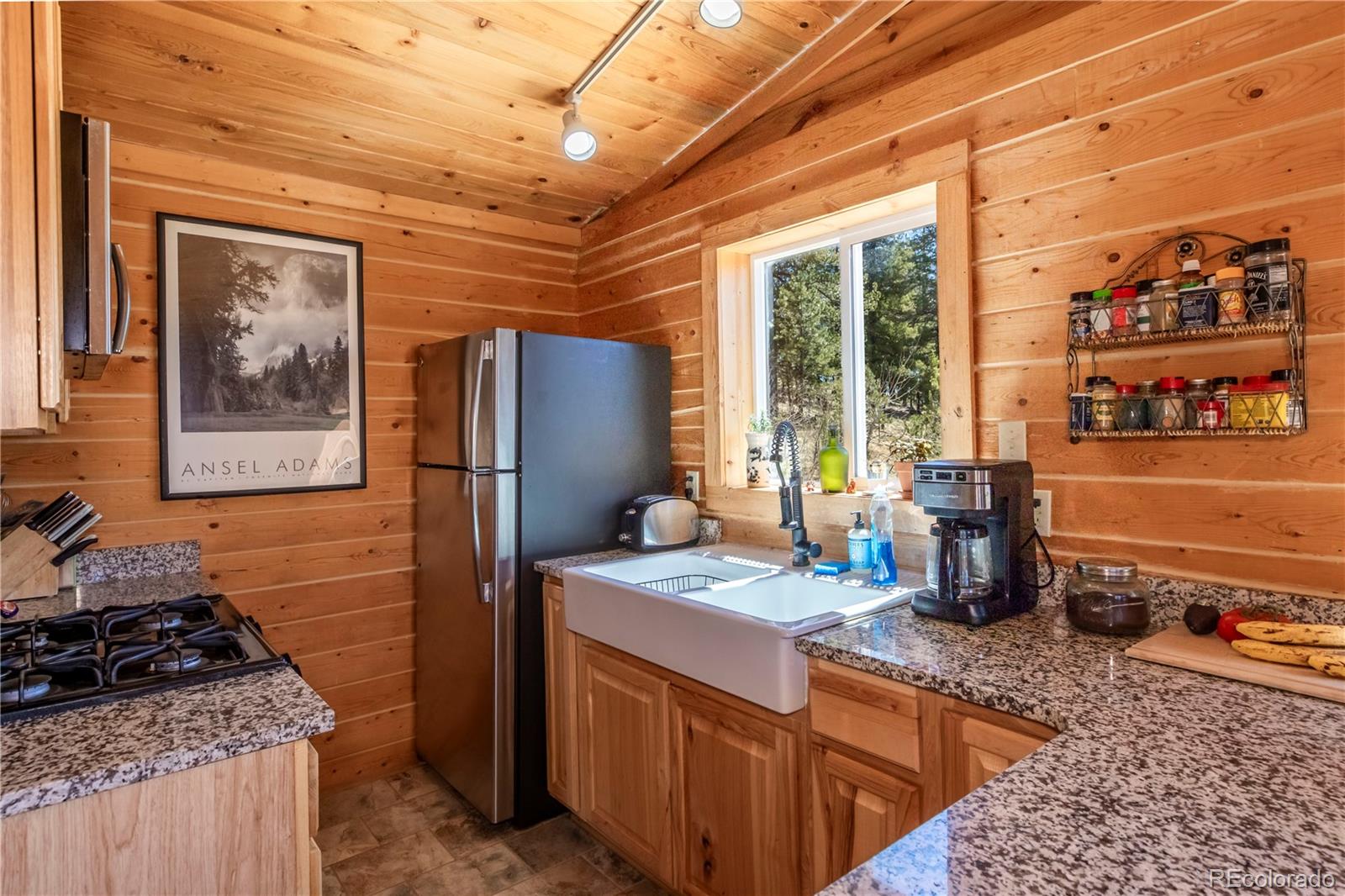 246 Hayes Street Bailey, CO 80421 - Photo 14 of 25