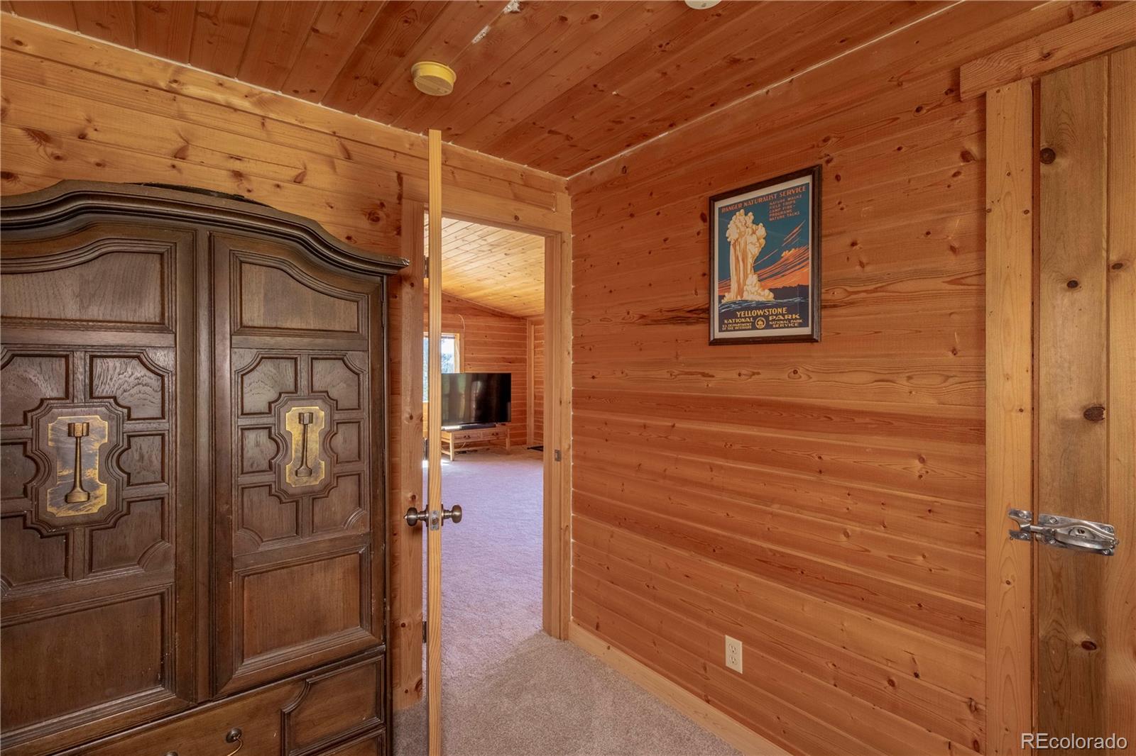246 Hayes Street Bailey, CO 80421 - Photo 18 of 25