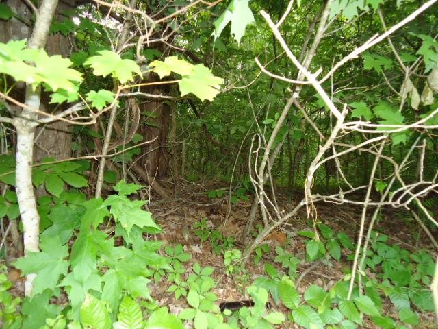 5 95 Star Point Road Celina, TN 38551 - Photo 12 of 21 Gallery Image 12