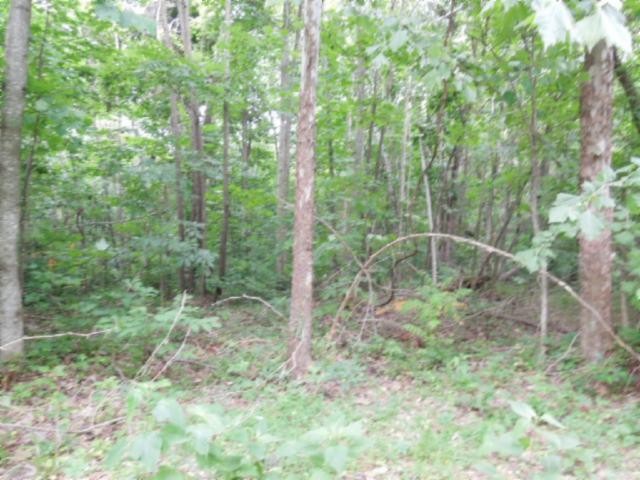 5 95 Star Point Road Celina, TN 38551 - Photo 14 of 21 Gallery Image 14