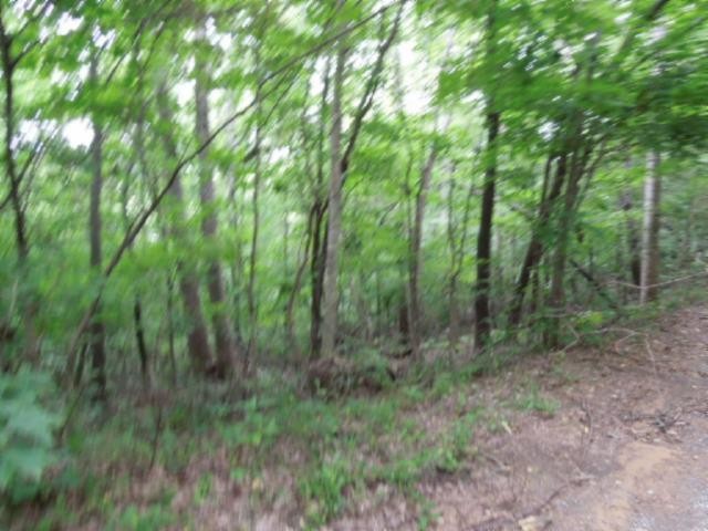 5 95 Star Point Road Celina, TN 38551 - Photo 16 of 21 Gallery Image 16