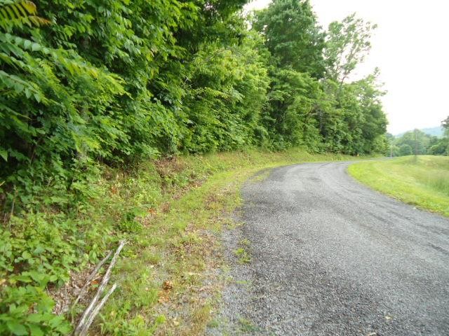5 95 Star Point Road Celina, TN 38551 - Photo 3 of 21 Gallery Image 3