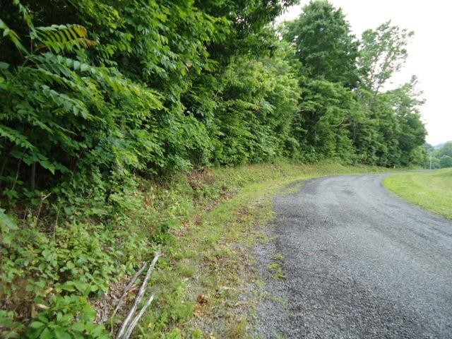 5 95 Star Point Road Celina, TN 38551 - Photo 4 of 21 Gallery Image 4