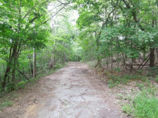 5 95 Star Point Road Celina, TN 38551 - Photo 7 of 21 Gallery Image 7