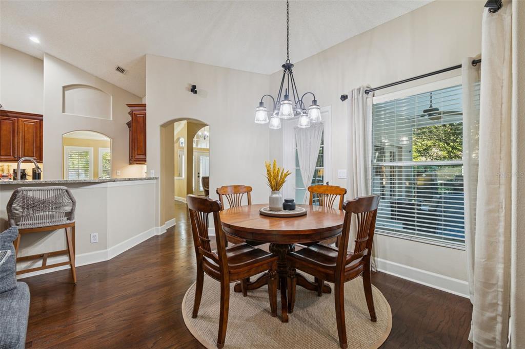 4320 Auston Way Palm Harbor, FL 34685 - Photo 25 of 100