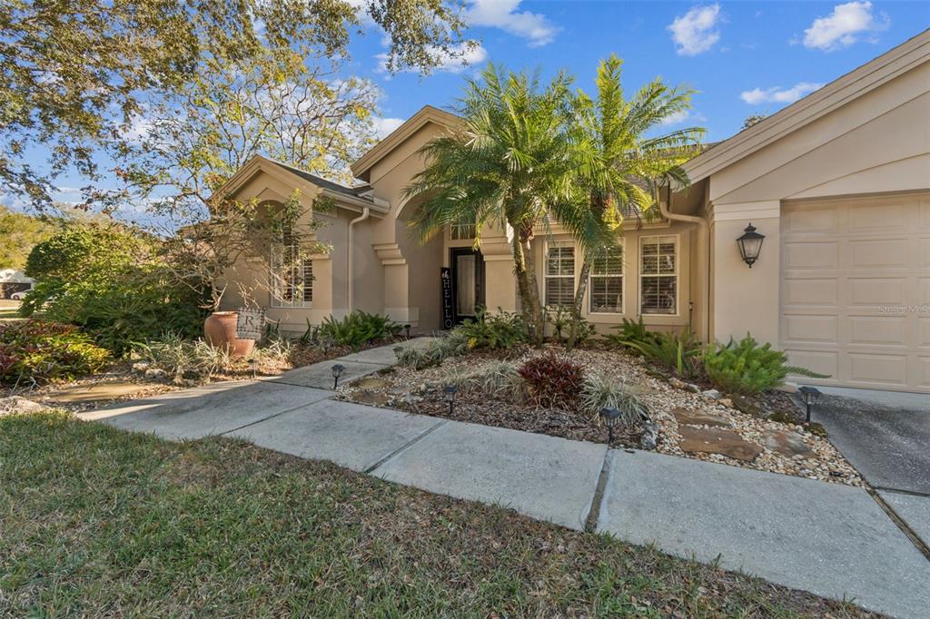 4320 Auston Way Palm Harbor, FL 34685 - Photo 6 of 100