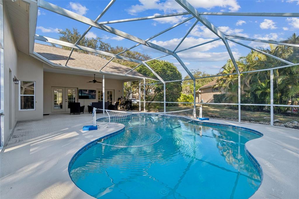 4320 Auston Way Palm Harbor, FL 34685 - Photo 76 of 100