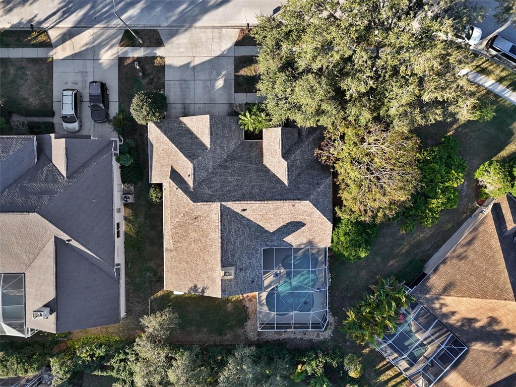 4320 Auston Way Palm Harbor, FL 34685 - Photo 83 of 100