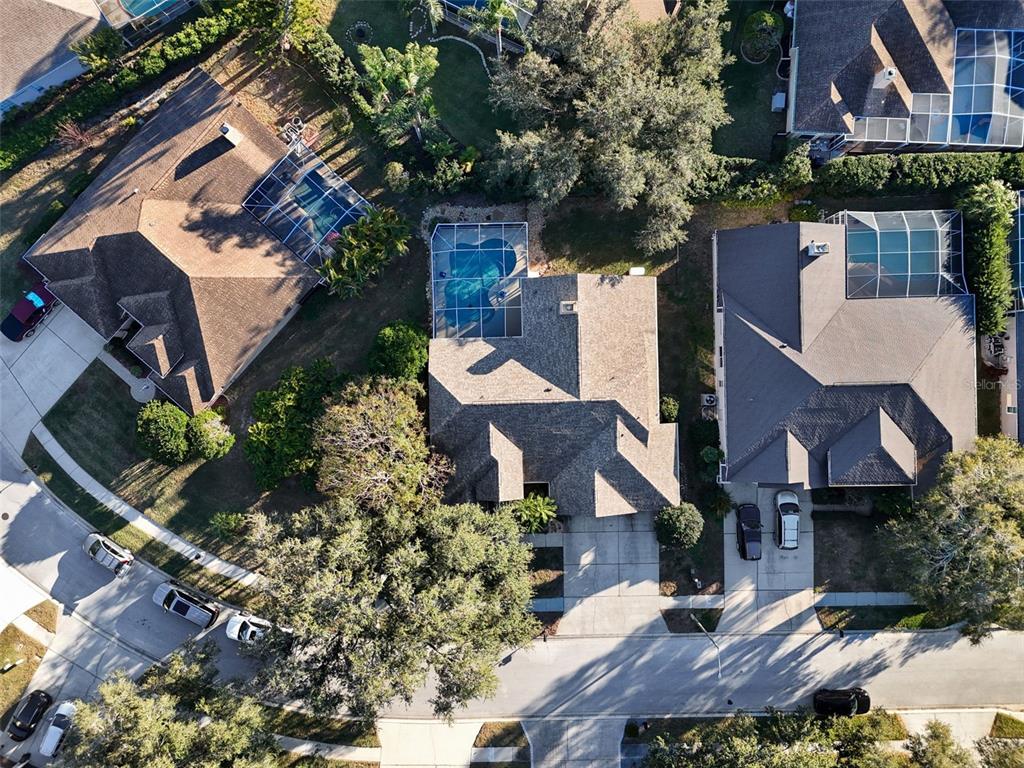 4320 Auston Way Palm Harbor, FL 34685 - Photo 84 of 100