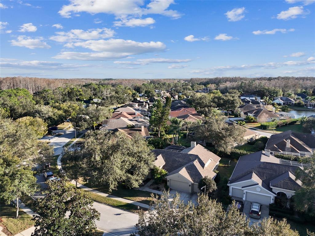 4320 Auston Way Palm Harbor, FL 34685 - Photo 85 of 100