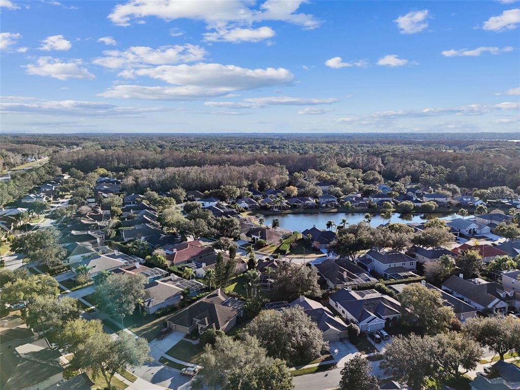 4320 Auston Way Palm Harbor, FL 34685 - Photo 87 of 100