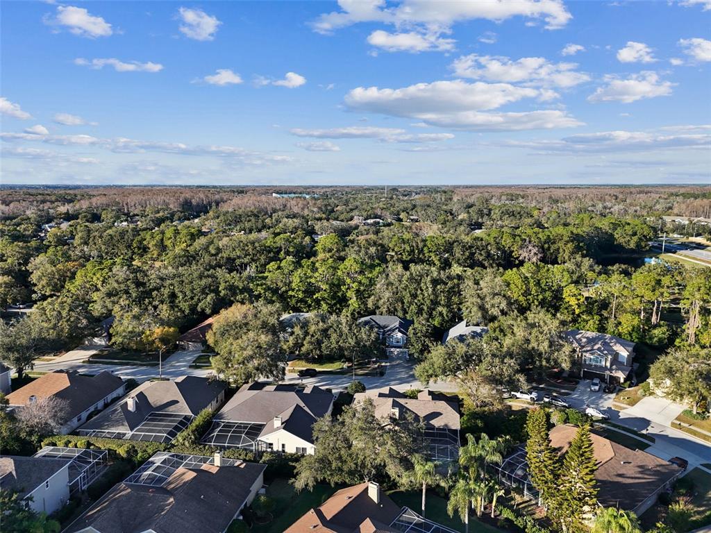 4320 Auston Way Palm Harbor, FL 34685 - Photo 90 of 100