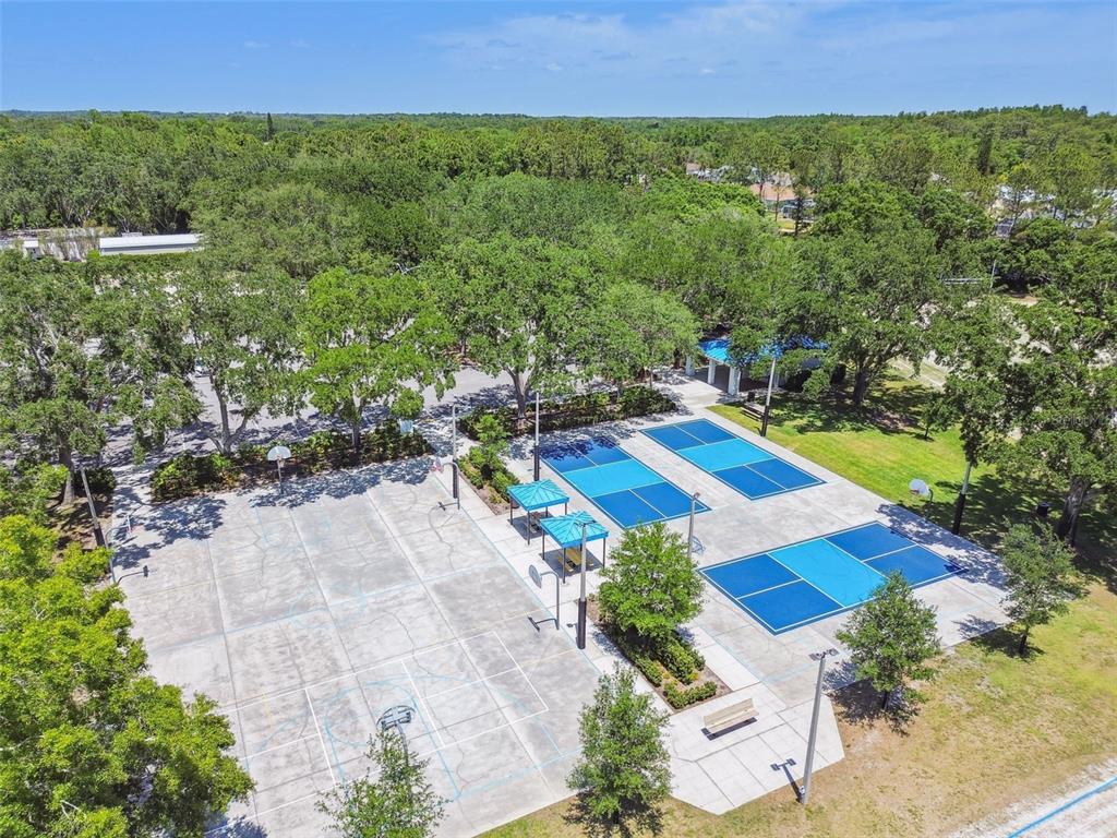 4320 Auston Way Palm Harbor, FL 34685 - Photo 93 of 100